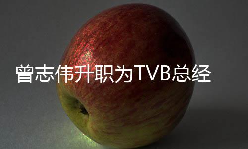 经理 将节目内容曾志职为B总运营伟升负责