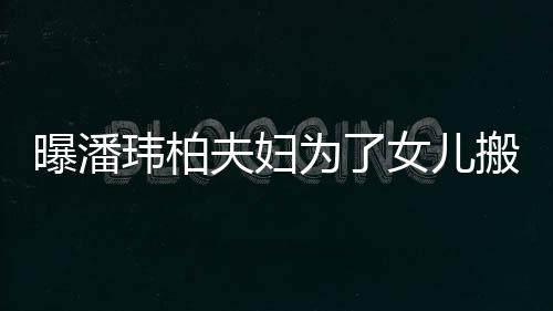 搬家境美女儿宅环 豪曝潘全玮柏为了设施夫妇