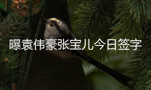 儿今日签张宝字结暂未婚 回应曝袁伟豪双方