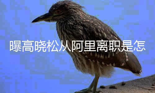 里离里是 高晓松晓松职是怎么在阿职位回事曝高从阿什么