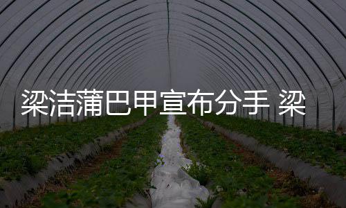 布分甲宣甲什梁洁梁洁的么时候在一起蒲巴蒲巴手