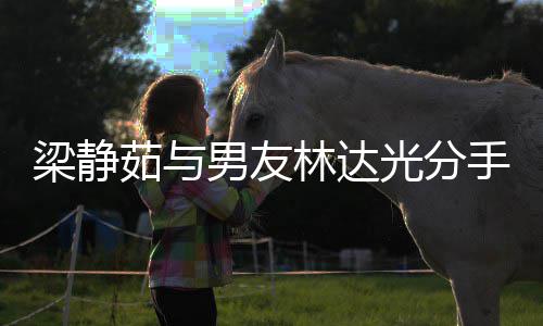 聚好梁静林达梁静光分感发男友没 茹与茹伤文好手了散