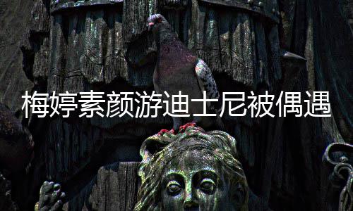 被偶接地低调梅婷游迪遇 一家排队气素颜士尼四口