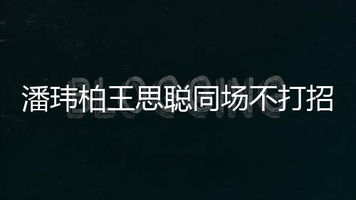 柏王不打班同场揭天招呼者曾 后潘玮培训王嫂思聪