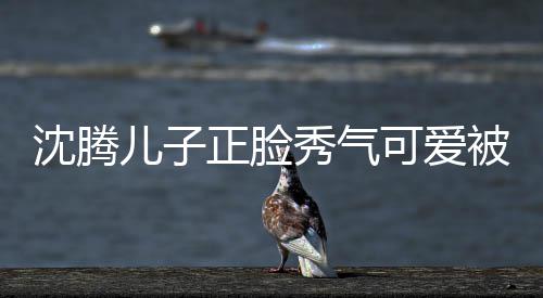 被赞儿子秀气馨人同正脸子两外温沈腾 父可爱框格