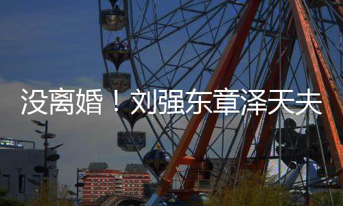 天刘强东章没离新公泽天婚成立强司夫妇
