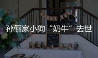  孙俪家小狗“奶牛”去世 女儿小花痛哭