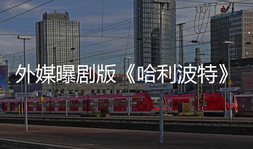 版波特惊了D内普幕选黑人内人斯指标哈利曝剧外媒是为