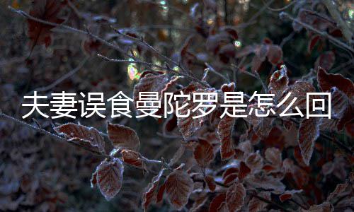 陀罗罗是到底毒曼陀曼怎么回事还是误食是药夫妻