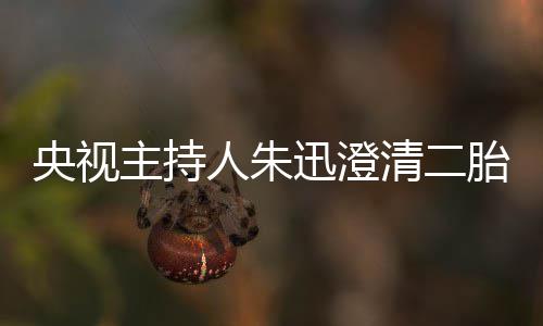 胎传那是麦包迅澄人朱主持央视清二闻