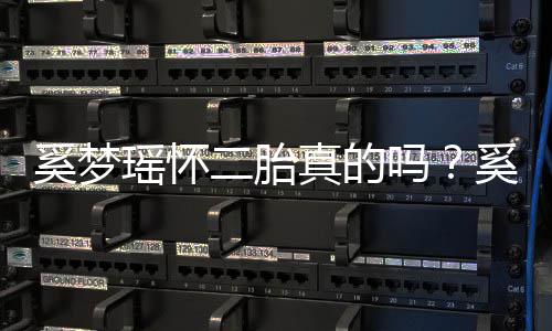 君始老公二胎吗奚梦奚梦真的终未正面何猷回应瑶怀瑶和