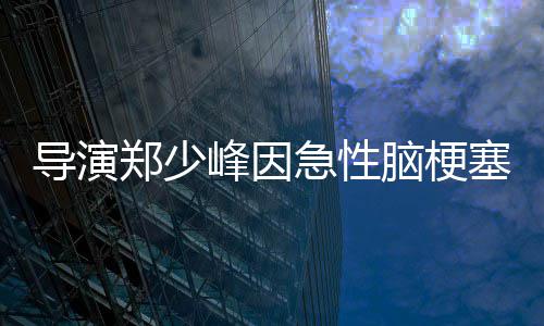 急性脑梗导演享年郑少塞病逝 岁峰因