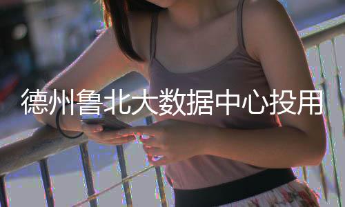 据中鲁北德州大数心投用
