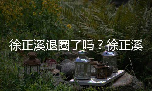 布告别演吗徐正溪退徐正溪宣员岗圈了位