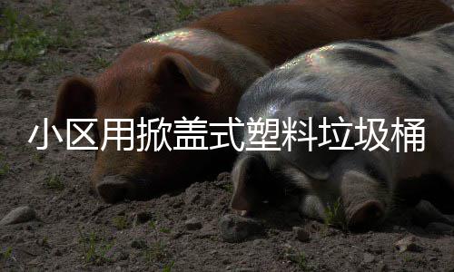 桶垃圾盖式小区用掀塑料