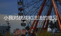  小我对战战和法法的意见
