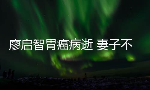 不眠不休廖启智胃最后一程癌病妻子逝 送他