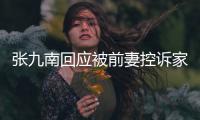  张九南回应被前妻控诉家暴出轨：等判决 自有公道