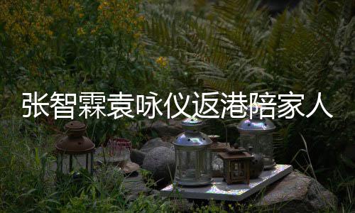 霖袁年 年货现身人过张智置办花店咏仪陪家返港