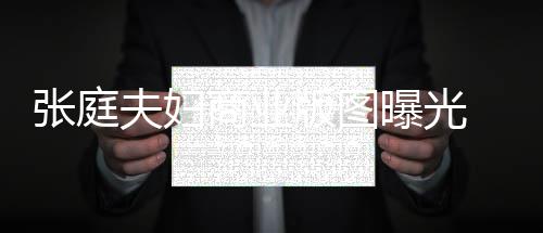 版图庭相家 9家林瑞联6关公张庭 张阳关曝光商业司有夫妇