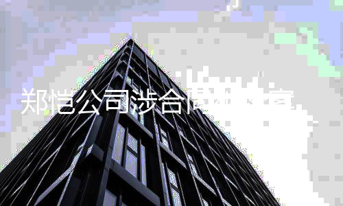 被同纠公司郑恺执行强制万涉合纷案