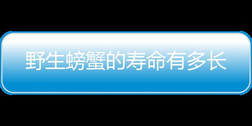 的寿多长命有野生螃蟹