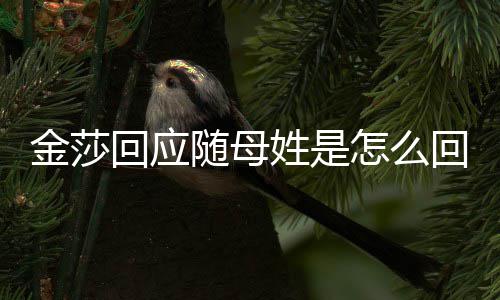 金莎 金姓是姓怎么回应回事随母莎为什么随母