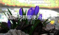  韩国研究称即使内存短缺缓解 内存价格也不会下降
