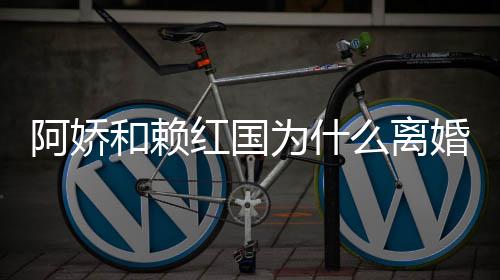 谈与赖弘国离么离和赖红国婚 婚原因阿娇阿娇为什