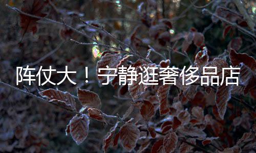帮拿包逛奢宁静大店 3人阵仗专人还有陪同侈品