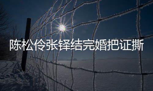 把证办了伶张伶回铎结引热议 应称已补陈松陈松完婚撕了