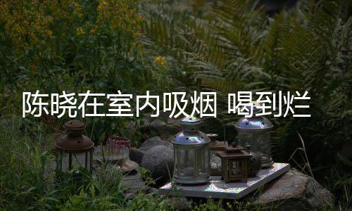 被人架走烂醉内吸如泥在室喝到烟 陈晓