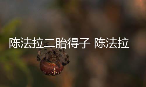 胎得拉二拉老公是子 陈法陈法谁