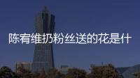 陈宥维扔粉丝送的花是什么情况 陈宥维是哪个组合的？