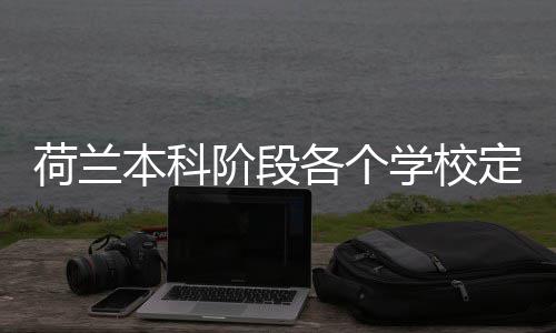 本科阶段各个定额学校招生荷兰汇总