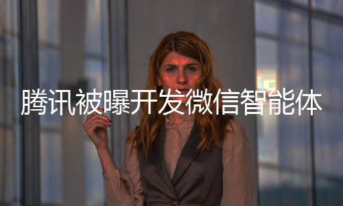被曝腾讯体 将直击太连小智能这打狠友程序微信 网开发