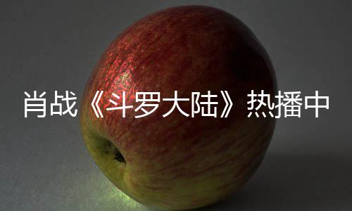 加剧罗大陆斗肖战热播中 组聚穿帽餐被衫参偶遇