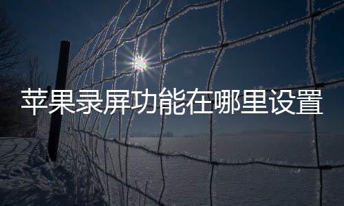 录屏里设功能在哪置苹果