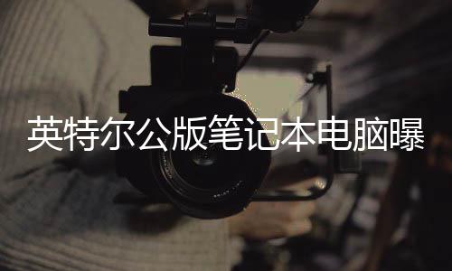 版笔记本 类尔公电脑英特曝光似M