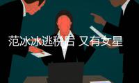  范冰冰逃税后 又有女星涉嫌此类案件遭税务局起诉