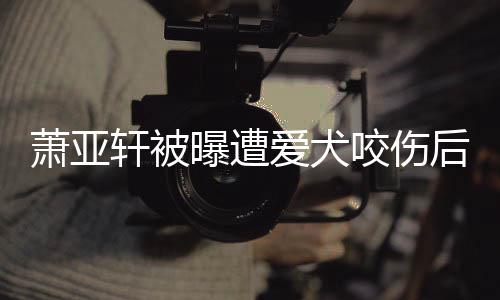 疤脸照萧亚轩被后首咬伤 已曝遭爱犬出伤晒正看不