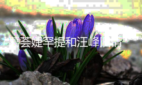 提和婕罕旧情葛荟果信章小苹 直子怡真爱言相汪峰