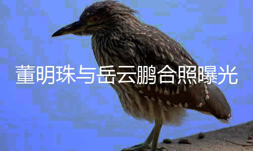 类综光 董明新的珠与照曝职场合作岳云疑似一档艺鹏合