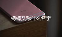  蟋蟀又称什么名字