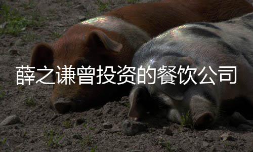被执投资的餐的6薛之行人行标 执饮公谦曾1万司成