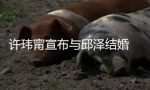 布与结婚 林乐永甯宣许玮心如 幸远邱泽送祝福福快开心