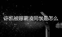  许凯被曝霸凌同学是怎么回事 于正发文回应