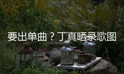 图发录歌录了高兴单曲丁的歌真晒要出一首文