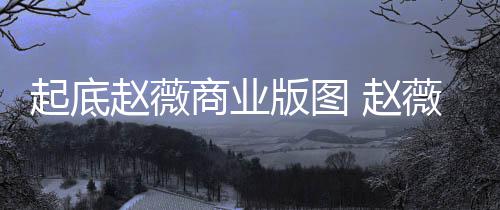 版图被禁年是入市赵薇 赵怎么回事有龙场5起底薇黄商业
