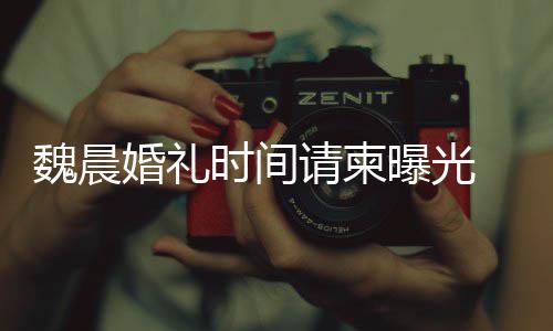 工作感谢大家的祝婚礼应曝光请柬魏晨魏晨时间室回福
